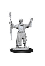 WizKids DnD Unpainted W13 Human Wizard Male