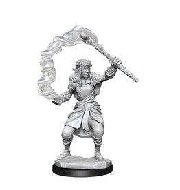 WizKids DnD Unpainted W13 Firbolg Druid Female