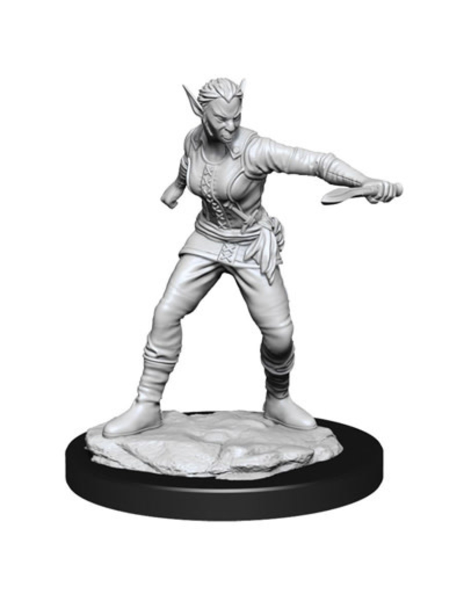 WizKids DnD Unpainted W13 Shifter Rogue Female