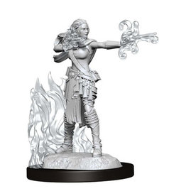 WizKids DnD Unpainted W13 Multiclass Warlock + Sorcerer Female