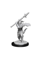 WizKids DnD Unpainted W13 Bearded Devils