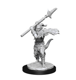 WizKids DnD Unpainted W13 Bearded Devils