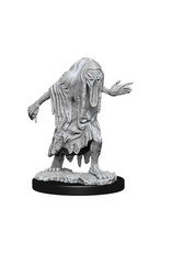 WizKids DnD Unpainted W13 Bodaks