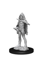 WizKids DnD Unpainted W13 Darkling Elder & Darklings