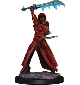 D&D Icons of the Realms Premium Fig W5 Human Rogue Female