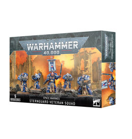 Warhammer 40k Space Marines Sternguard Veteran Squad
