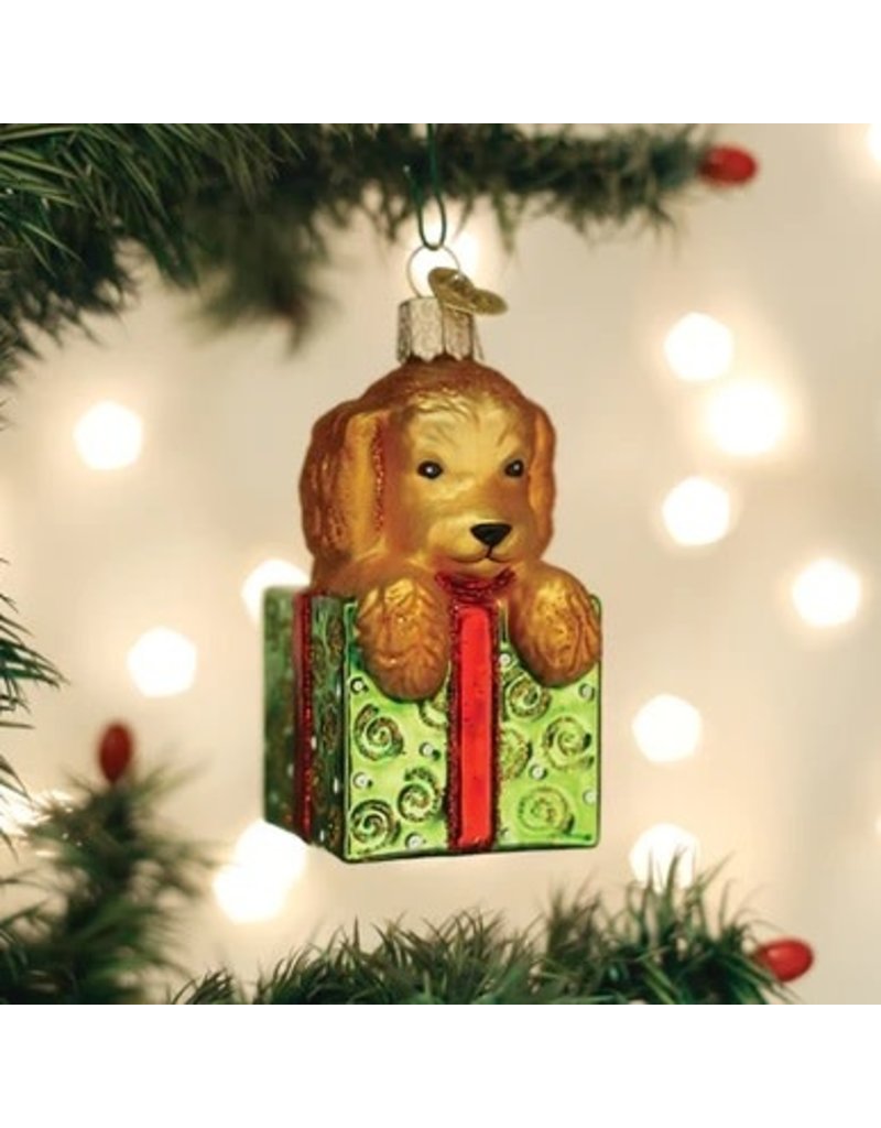 Old World Christmas Ornament Doodle Puppy Surprise