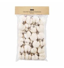 Mud Pie Mud Pie Fall Velvet Mini Pumpkins Cream