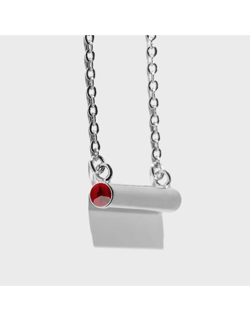 Birthstone Necklace - January/Silver