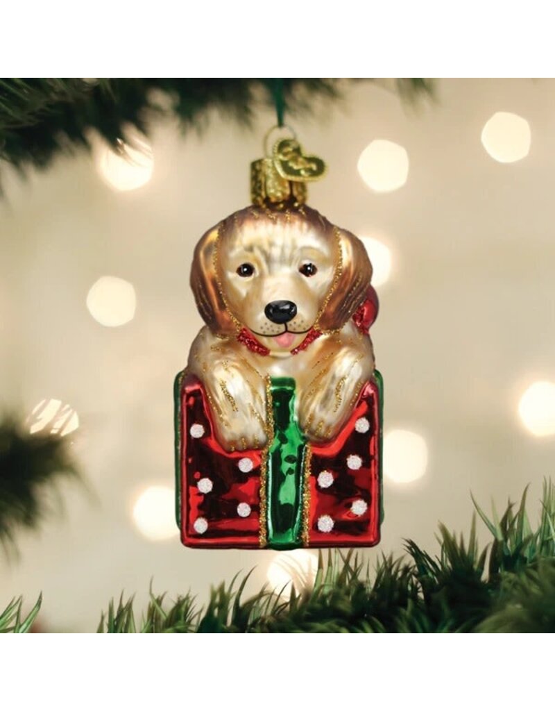 Old World Christmas Old World Christmas Ornament Golden Puppy Surprise