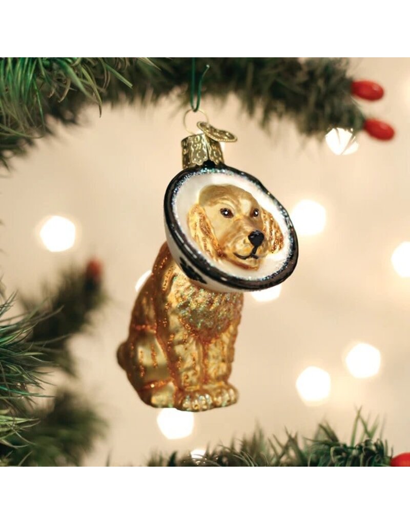 Old World Christmas Ornament Cone of Shame Dog