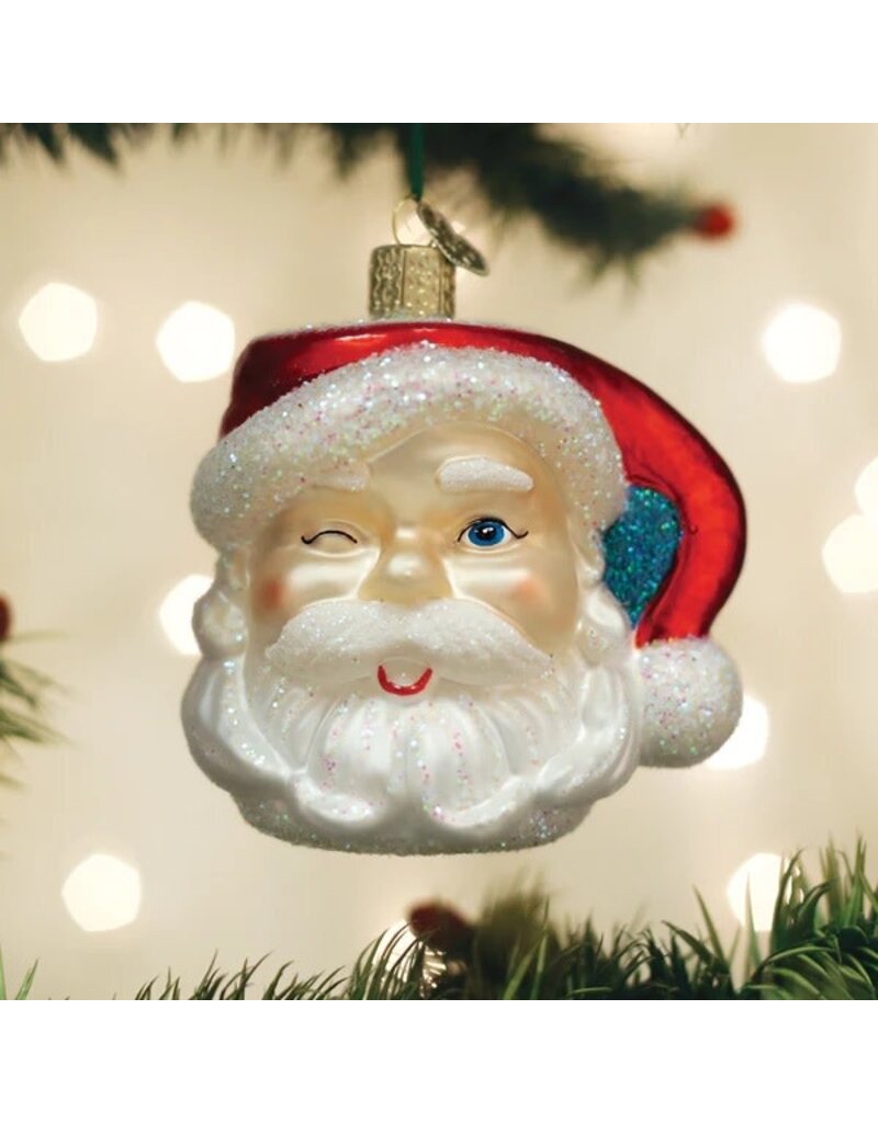 Old World Christmas Ornament Santa Mug
