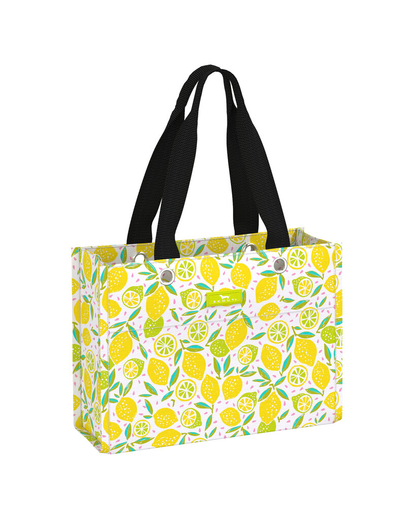 Scout Scout Tiny Package Lemoncello