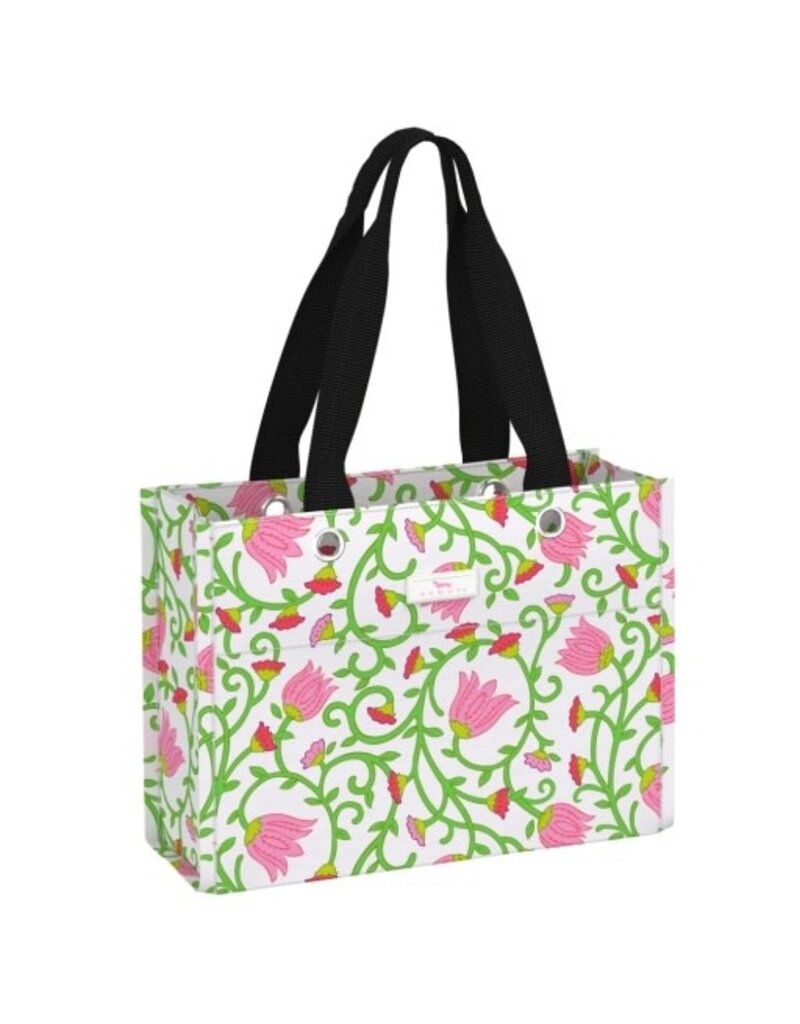 Scout Scout Tiny Package Late Bloomer