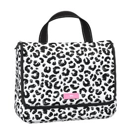 Scout Scout Beauty Gordito Cat Skills