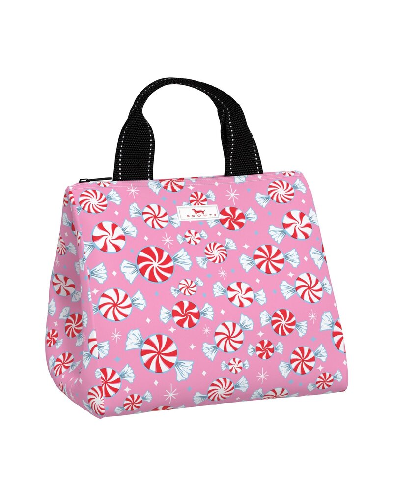 Scout Scout Eloise Candyland