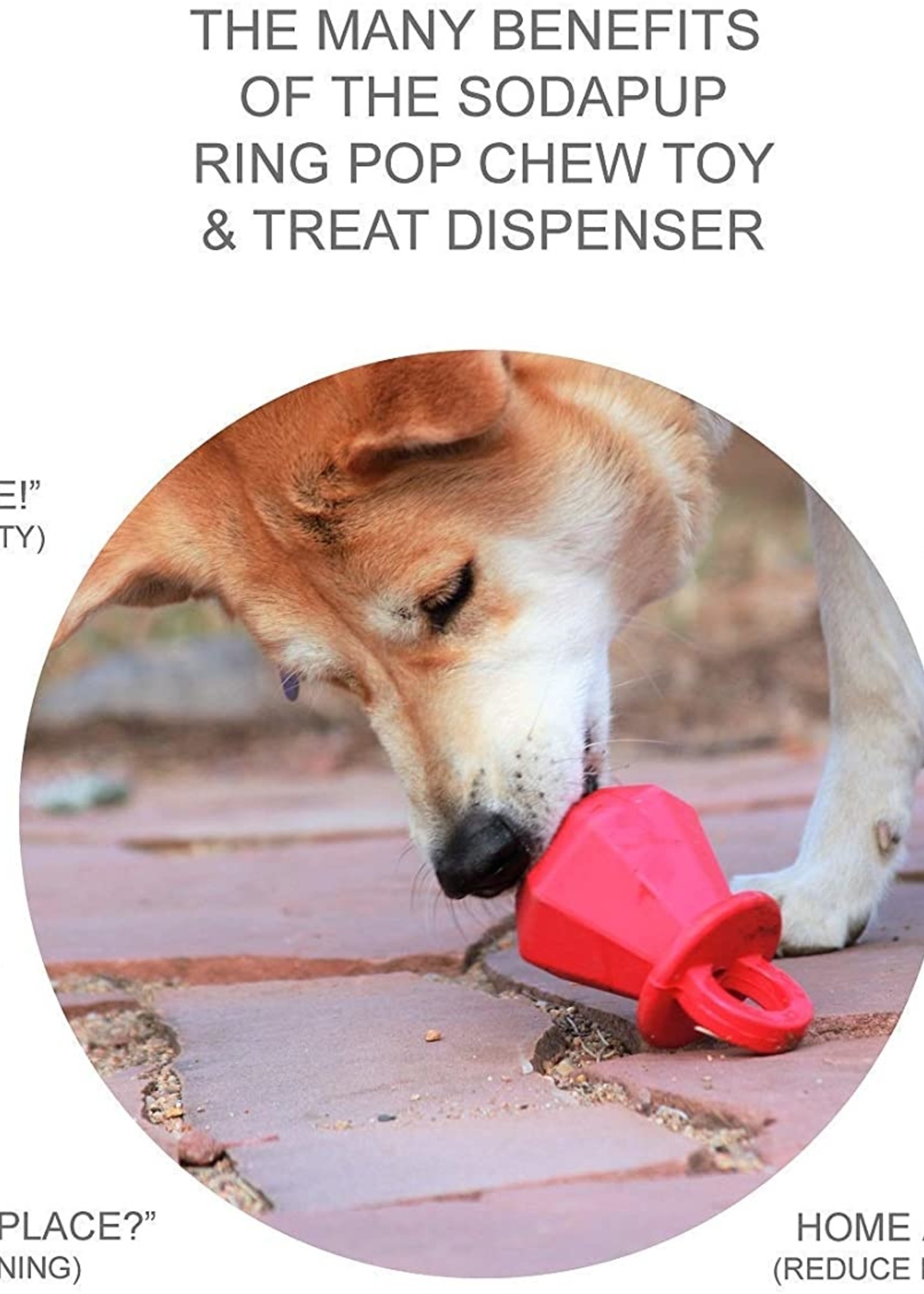 SodaPup Life Ring Chew Dog Toy & Treat Dispenser
