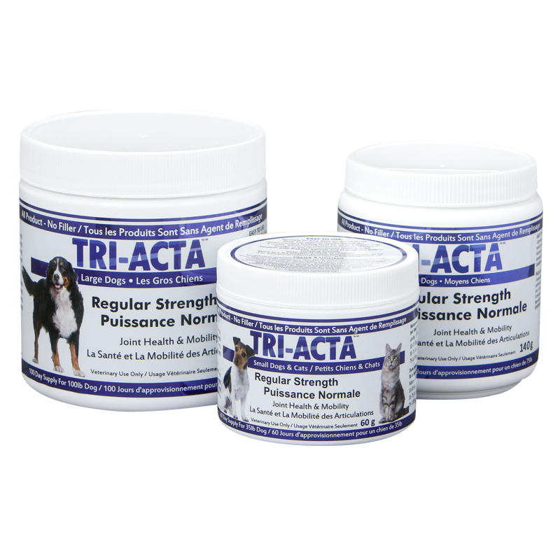 Tri-Acta Tri-Acta Regular Strength Large Dogs 300g