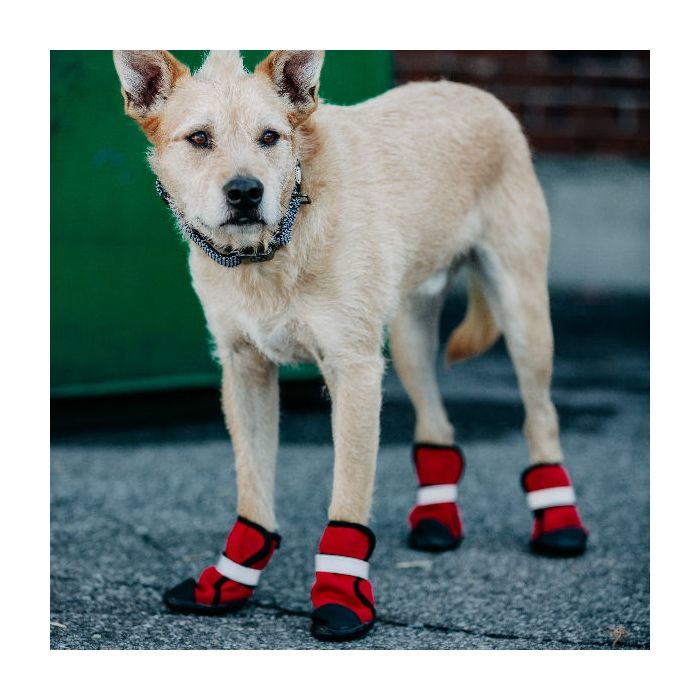 dog paw booties