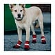 Silver Paw Silver Paw - Easy Fit Neoprene Dog Boots L (Red)
