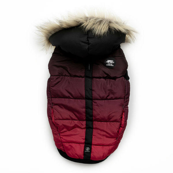 silver paw dog jacket