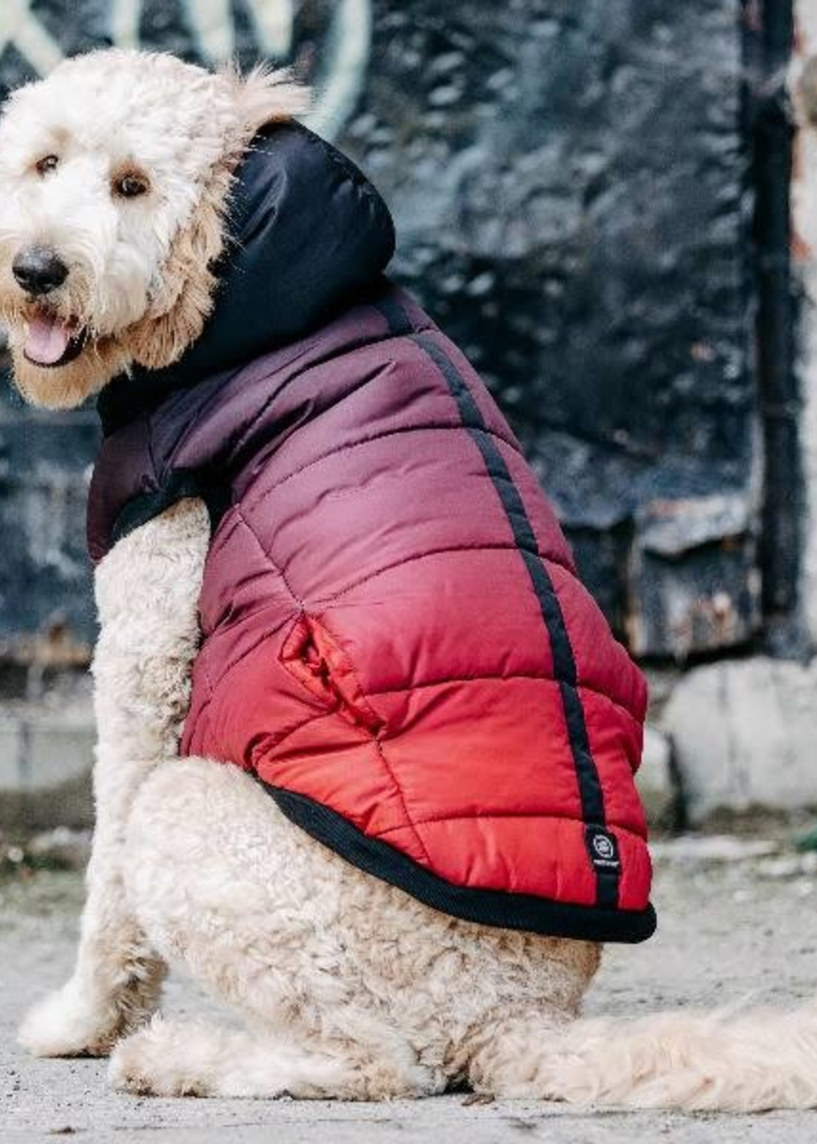 Silver Paw SILVER PAW - Red Quilted Puffy Jacket - M