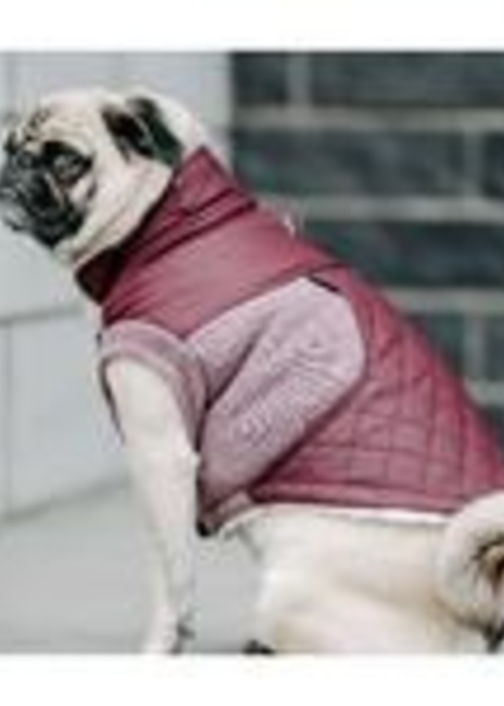 Silver Paw Silver Paw Silver Paw - Quilted Jacket Faux Leather Fig