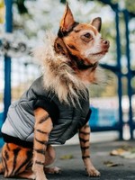 Silver Paw Silver Paw - Quilted Puffer Jacket Grey