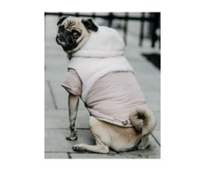 silver paw dog jacket