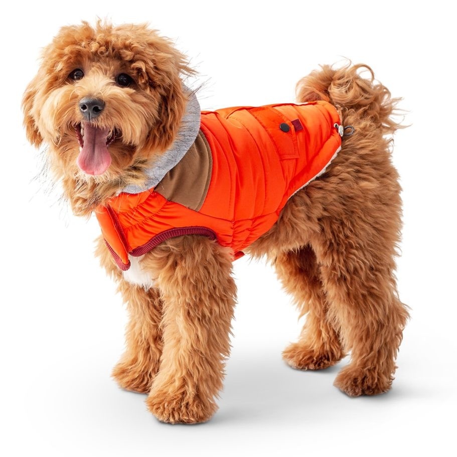 elastofit dog jacket