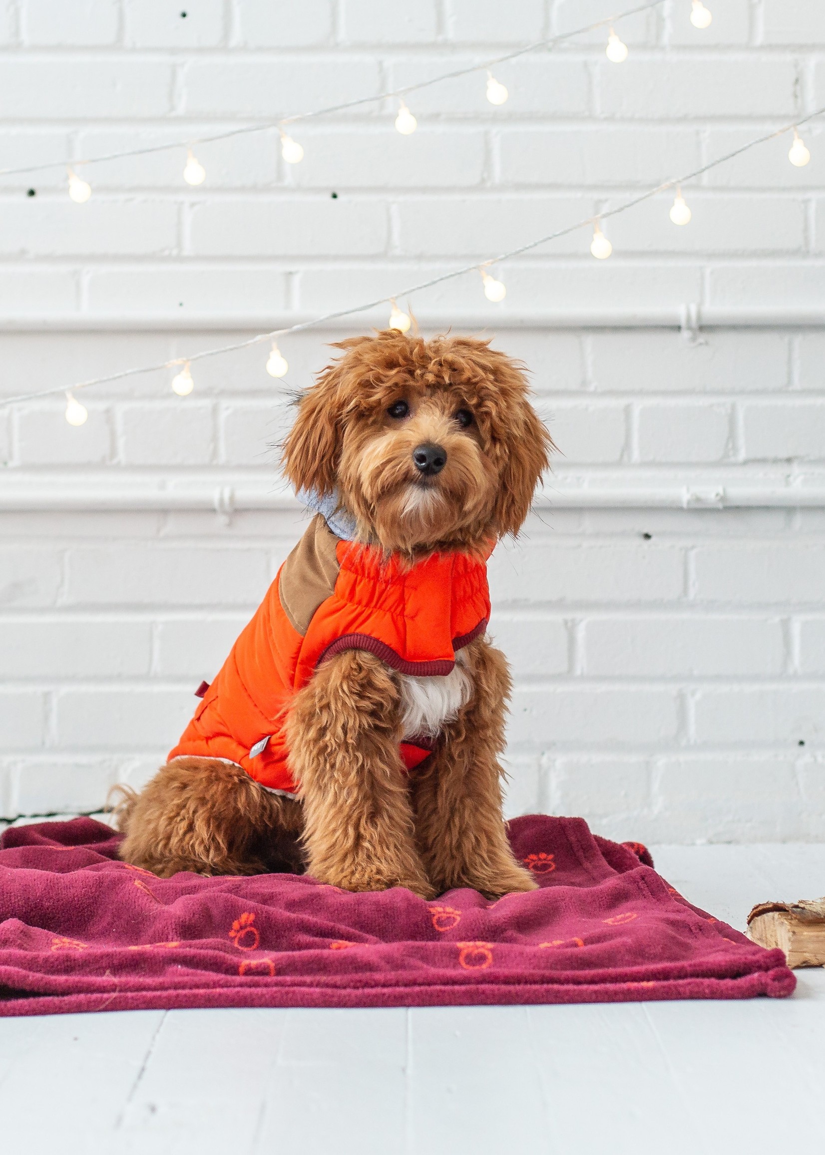 GF PET - Elastofit Lodge Parka Orange