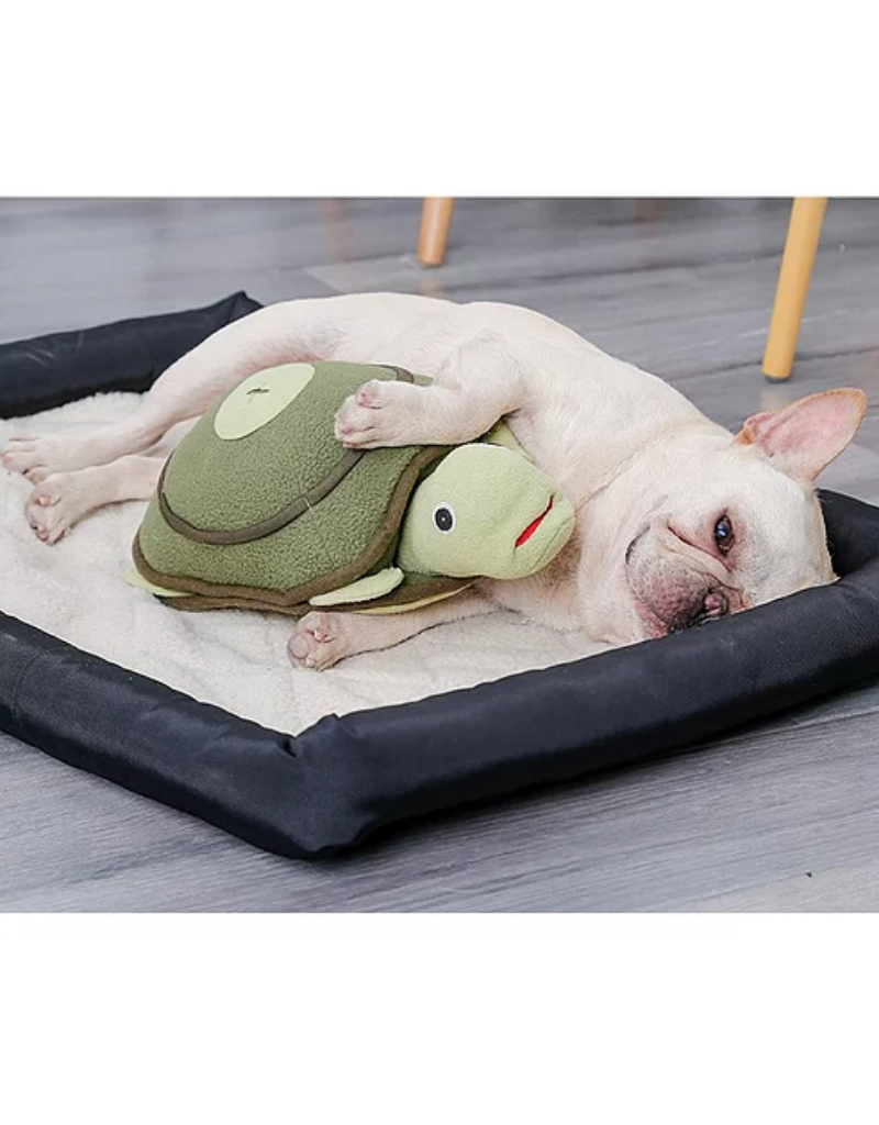 Pawz N Dogz Pawz N Dogz Turtle Snuffle and Snuggle Mat