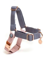 Eat Play Wag Eat Play Wag - Gray-Rose No-Pull Harness