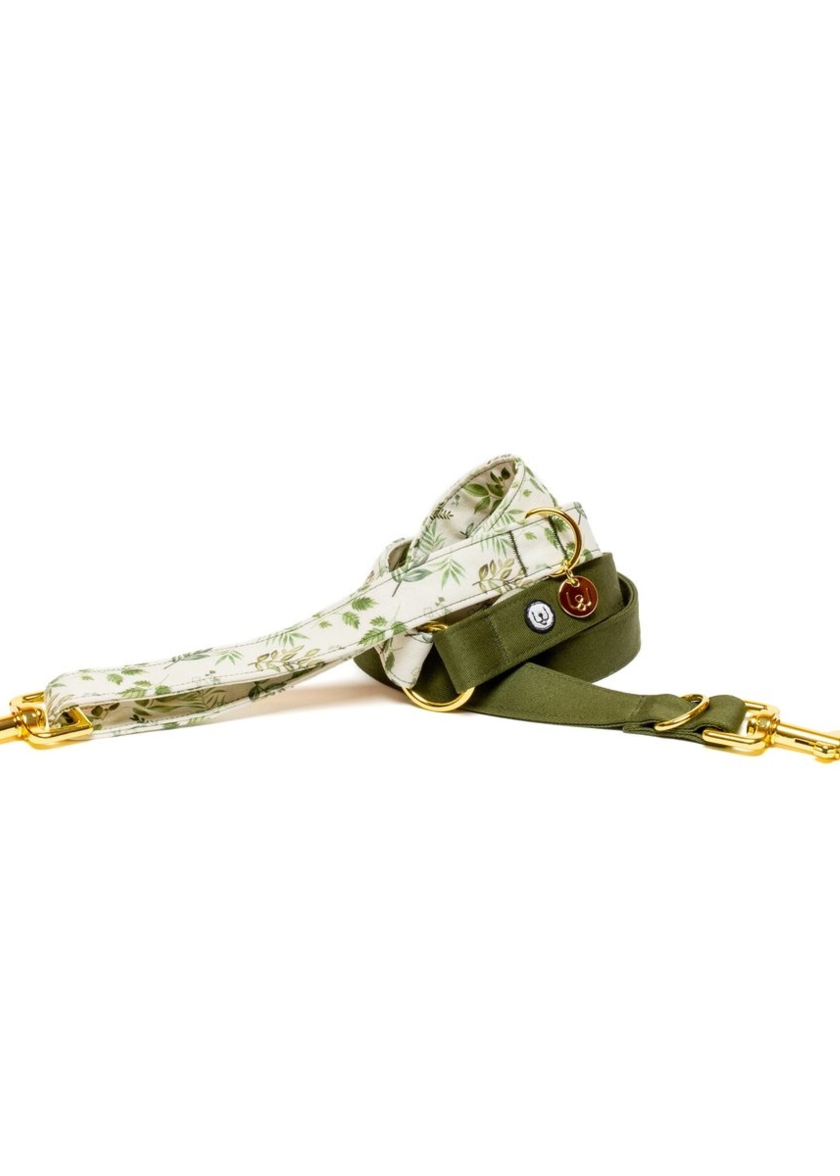 Eat Play Wag Eat Play Wag - Desert Fern Convertible Leash