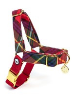 Eat Play Wag Eat Play Wag - Fireside No-Pull Harness