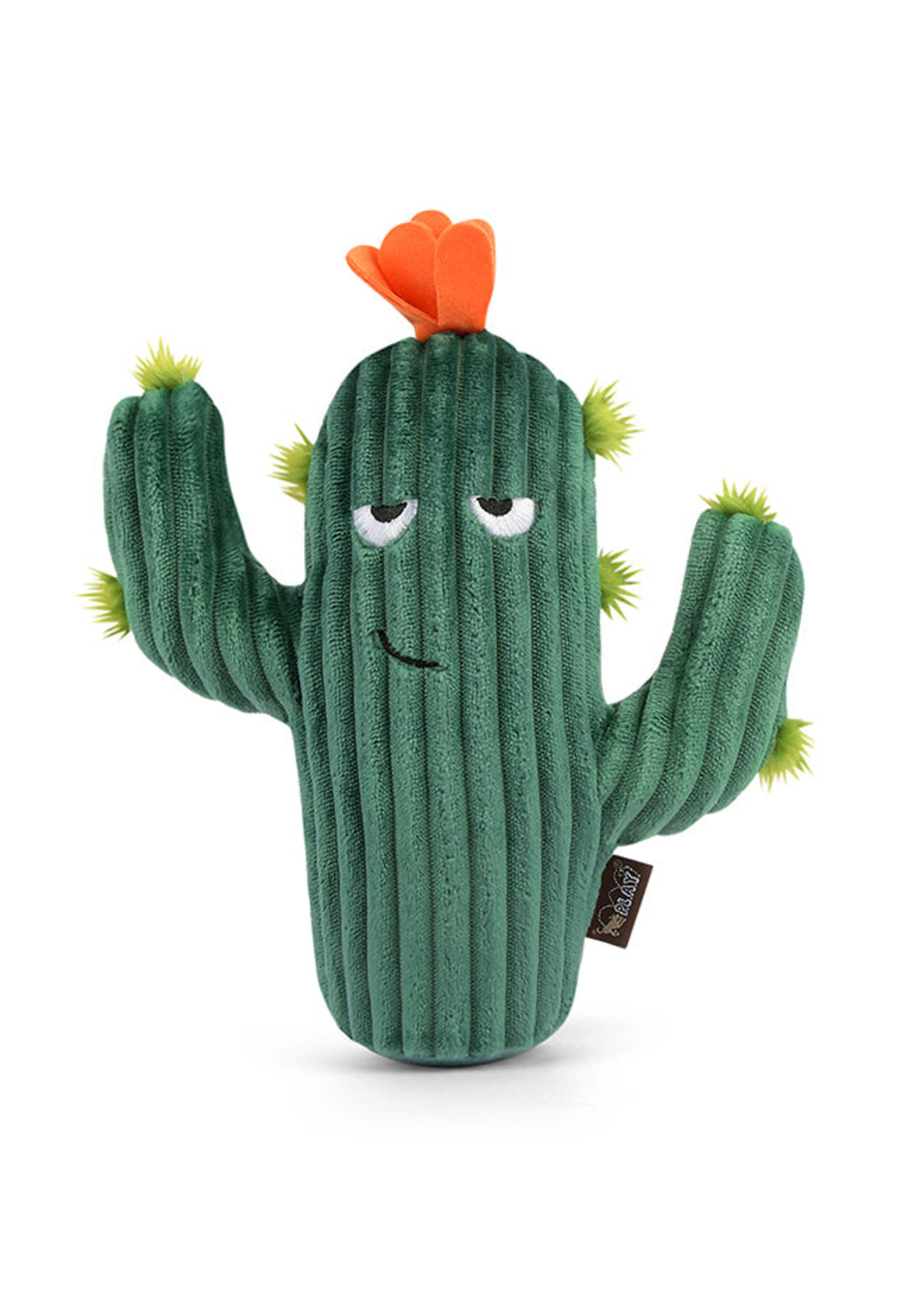 Blooming Buddies Collection - Cactus