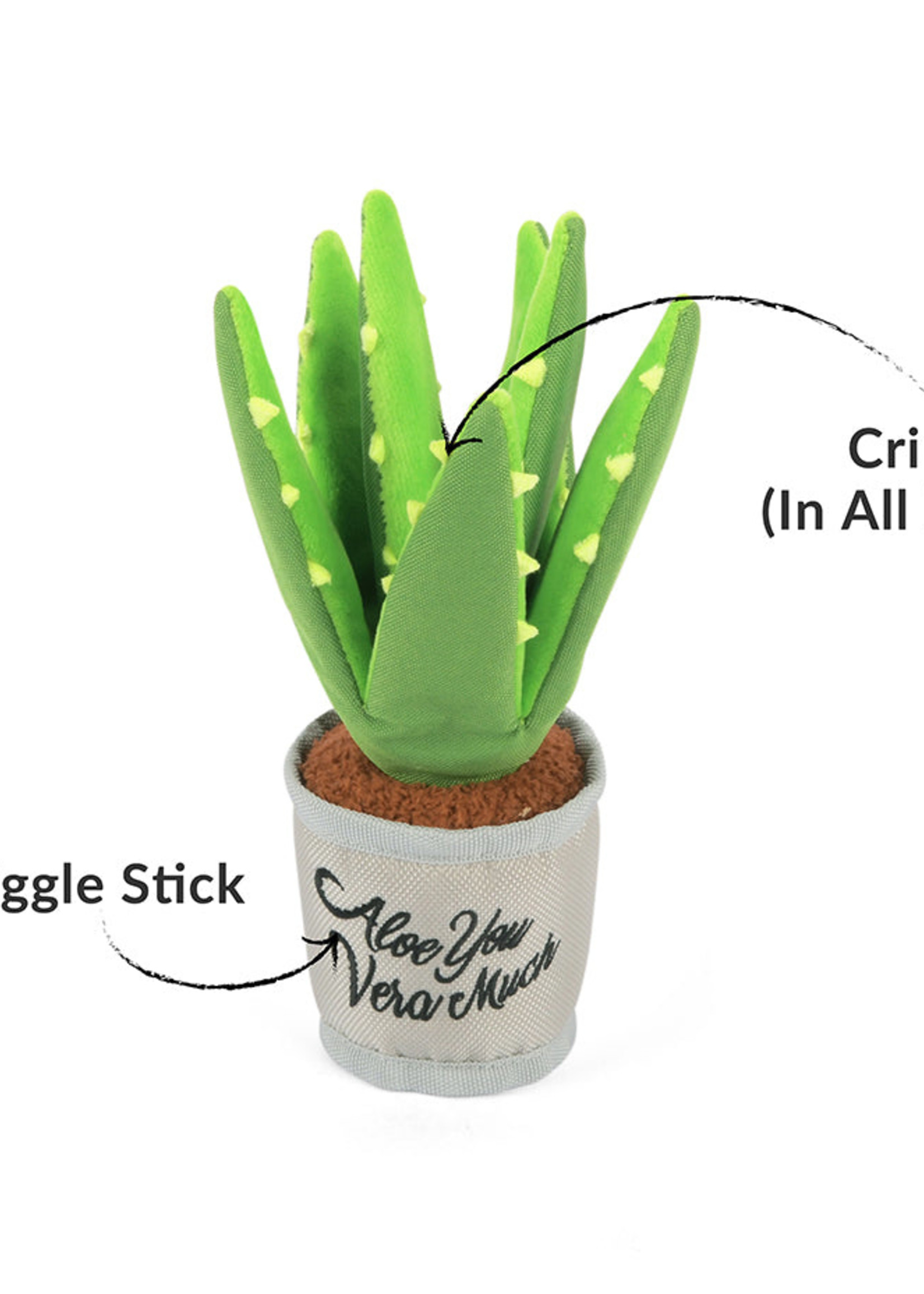 Blooming Buddies Collection - Aloe Vera