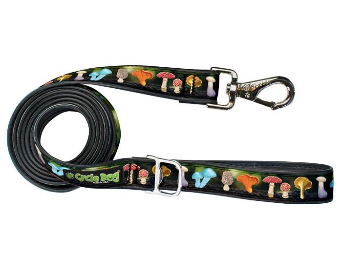 cycle dog leash