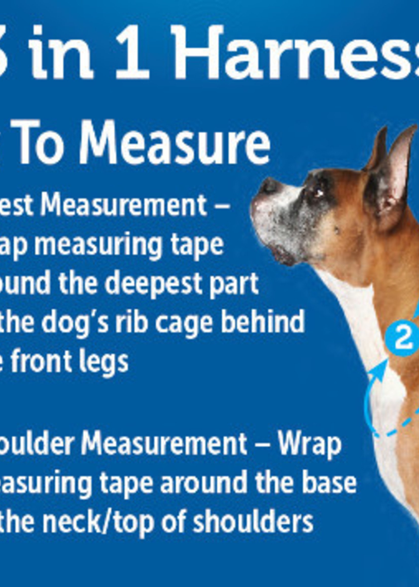 PetSafe 3 in 1 harnnes & Car Restraint