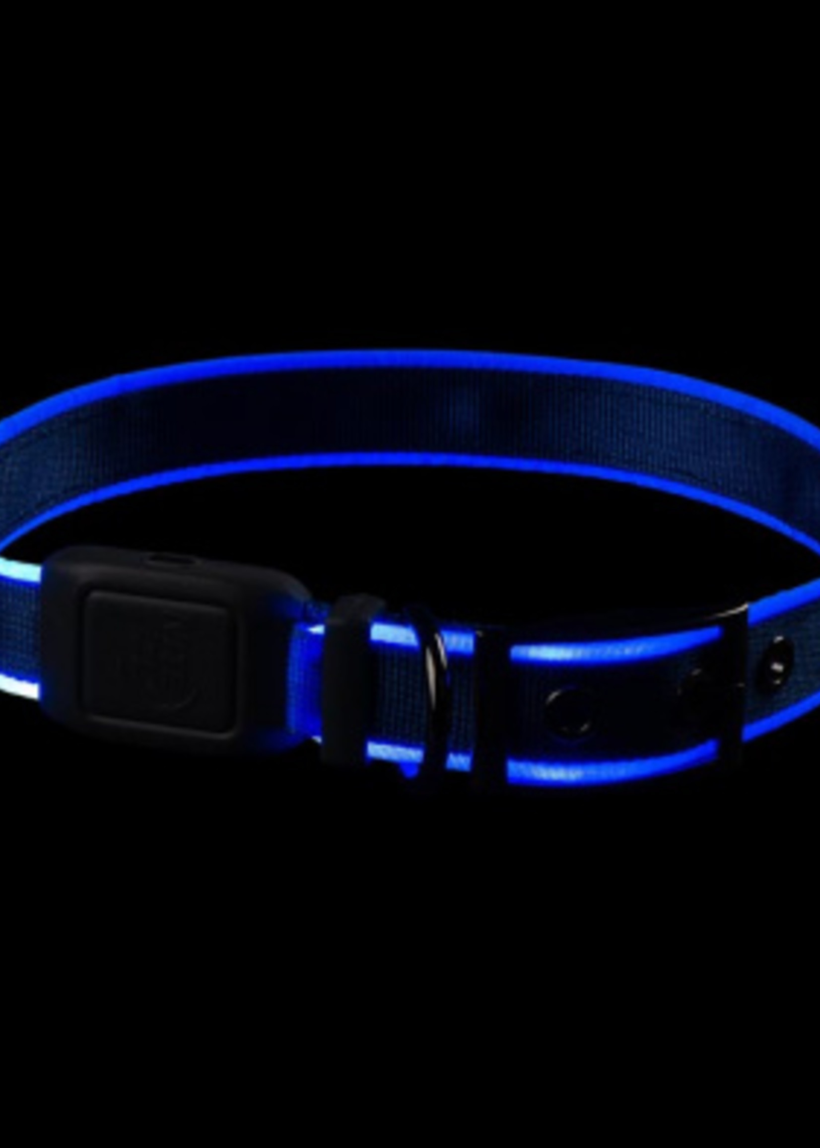 Nite Ize Nite Dog Blue LED Collar X-Large