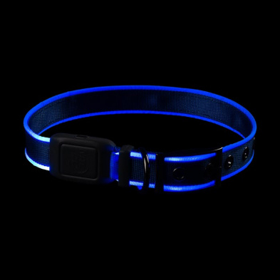 Nite Ize Nite Dog Blue LED Collar X-Large