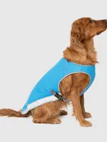 Canada pooch - chill seeker cooling vest