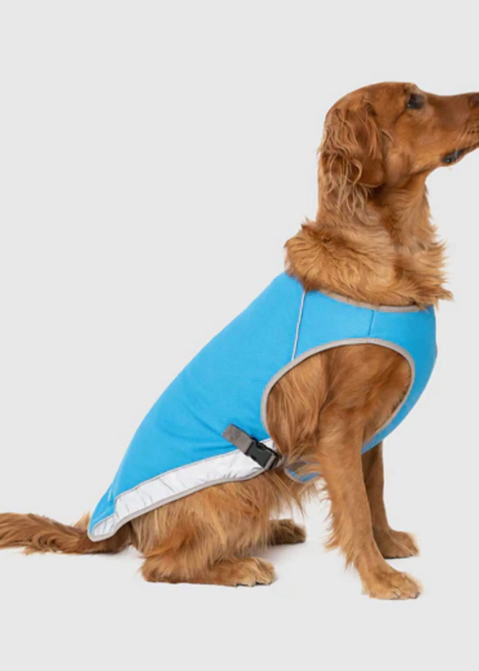 Canada pooch - chill seeker cooling vest