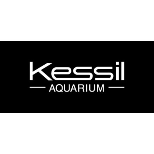 Kessil