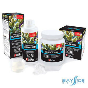 Red Sea Foundation B | 1L Red Sea Foundation B | 1L