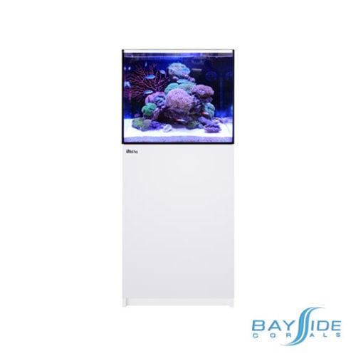 Red Sea REEFER 170 G2 | White