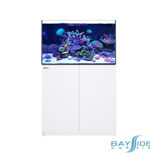 Red Sea REEFER 250 G2 | White