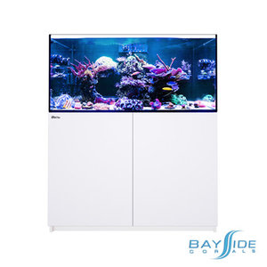 Red Sea REEFER 350 G2 | White