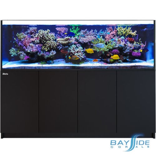 Red Sea Red Sea REEFER 900 G2 | Black