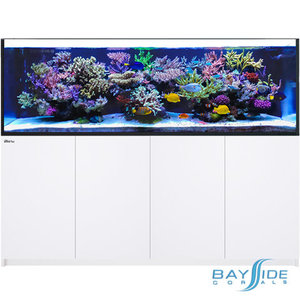 Red Sea REEFER 900 G2 | White
